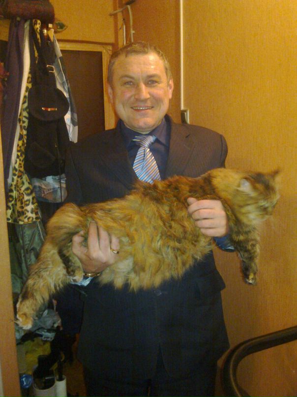 Сергей Валуев фотография #42