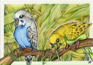 Фотография Жилина Дмитрия