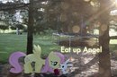 Flutter Shy фотография #18 (источник - https://vk.com/id161207668)
