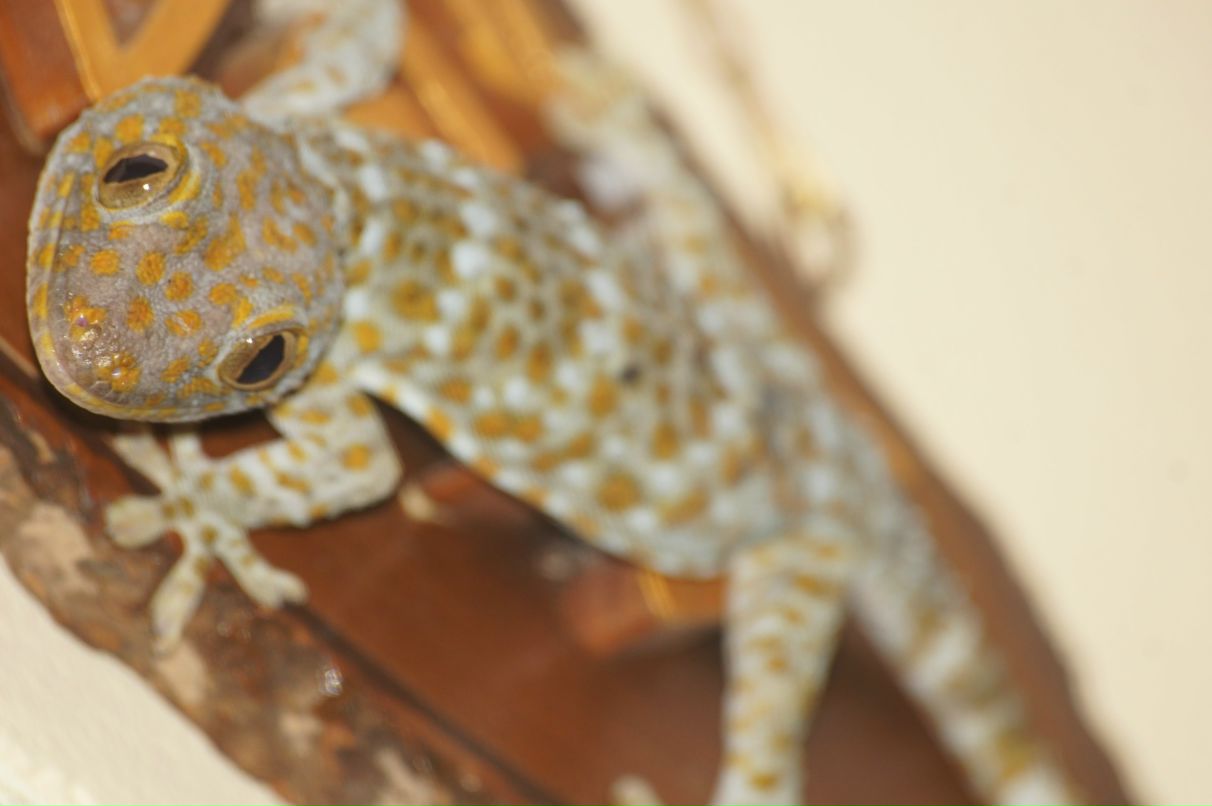 Дмитрий Демарин фотография #30