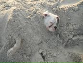 Anuta Hands фотография #17 (источник - https://vk.com/id1373359)