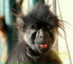 Денис Чириков фотография #4 (источник - https://vk.com/id9476982)