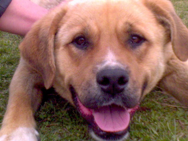 Игорь Дегтярёв фотография #14