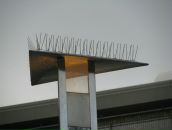 Сергій Малюга фотография #30 (источник - https://vk.com/id5669606)