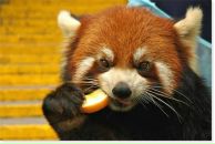 Фотография Барана Николая