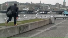 Аля Лапина фотография #18 (источник - https://vk.com/id221663)