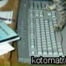 Роман Вінтоняк фотография #11 (источник - https://vk.com/id64863202)