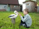 Фотография Николаевича Сергея