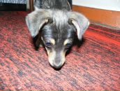 Фотография Липова Романа