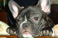 Анатолій Матвієць фотография #37 (источник - https://vk.com/id43474846)