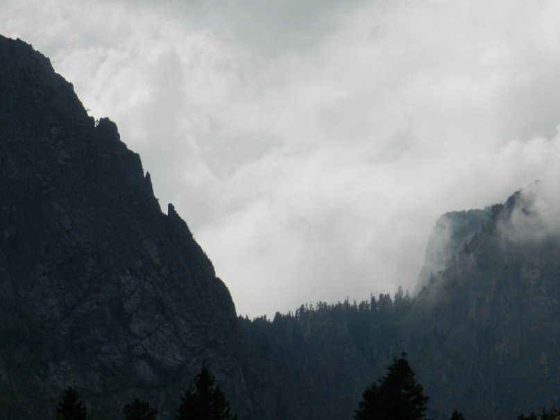 Дмитрий Толстых фотография #41