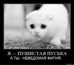 Фотография Головчина Романа