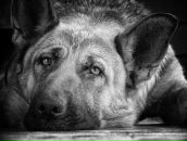 Фотография Безносовой Ирины