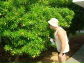 Фотография Обещенко Кирилла