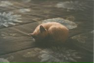 Фотография Ивановой Елены