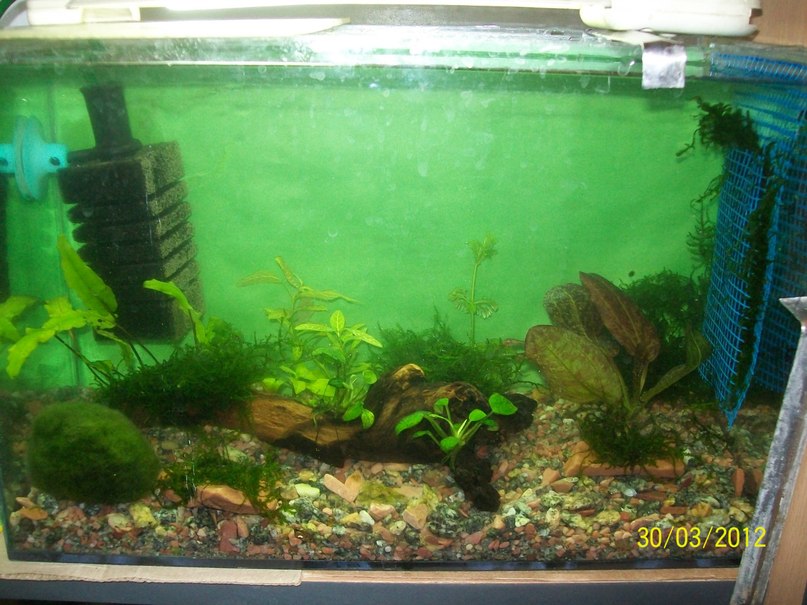 Igor Demchenko фотография #34