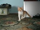 Мар'яна Андраш--Стебліна фотография #47 (источник - https://vk.com/id96343830)