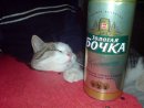 Антон Бессонов фотография #33 (источник - https://vk.com/id7161412)