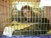 Фотография Рогальниковой Ирины