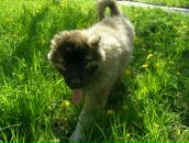 Аня Поліщук фотография #5 (источник - https://vk.com/id10406268)