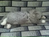 Фотография Грековой Анны