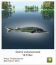 Людмила Бабікова фотография #31 (источник - https://vk.com/id155289329)