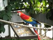 Наталі Криворучко фотография #17 (источник - https://vk.com/id42236716)