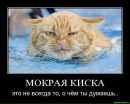 Фотография Савкин Артем