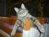 Фотография Королевой-Курбатовой Татьяны