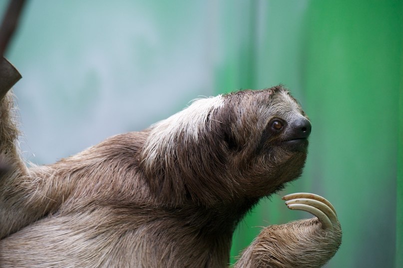 Катя Совушкина фотография #48