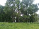 Віра Підгородецька фотография #18 (источник - https://vk.com/id146406428)