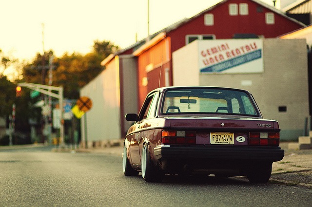 Симао Дерево фотография #27