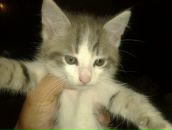 Валік Скавинський фотография #5 (источник - https://vk.com/id134139222)