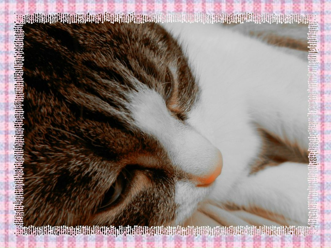 Игорь Кшнякин фотография #12