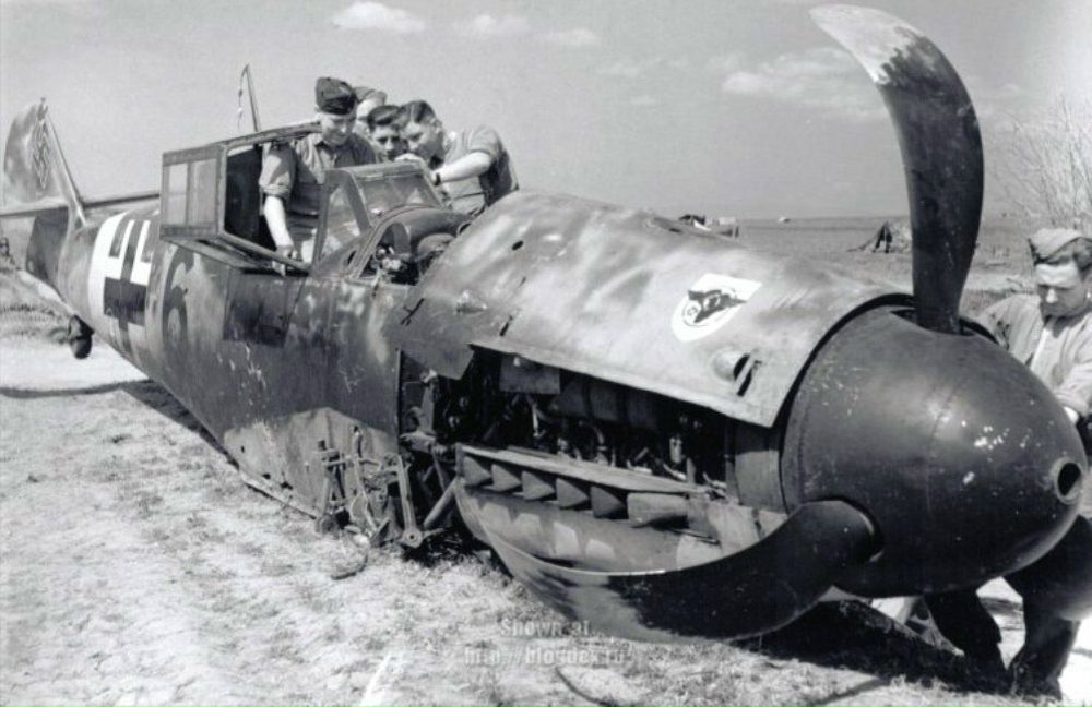 Daniel Karachintsev фотография #22