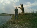 Віктор Дзікович фотография #5 (источник - https://vk.com/id168586193)