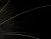 Лілюсік Калінчук фотография #39 (источник - https://vk.com/id66320175)