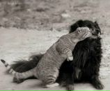 Фотография Беловой Марии