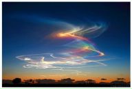 Фотография Перминова Алексея