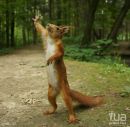 Оксана Черемісська фотография #16 (источник - https://vk.com/id15931967)