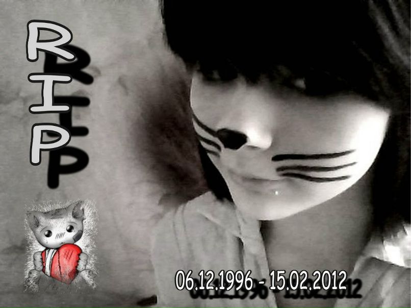 Defect Brain фотография #15