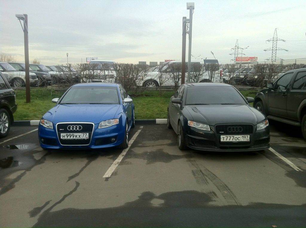 Prosto Пасленыш фотография #2