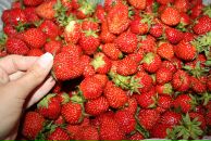 Фотография Уваровой Марины