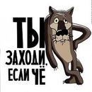 Антон Волков фотография #46 (источник - https://vk.com/id4526348)