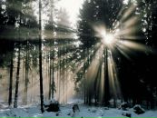 Фотография Лемякиной Дианы
