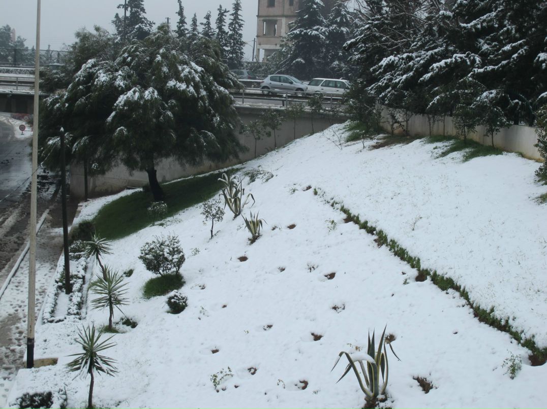 Иван Иванов фотография #27