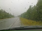 Фотография Гаевская Даша