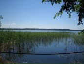 Дмитрий Карцев фотография #20 (источник - https://vk.com/id1531047)