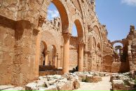 Sohib Sshh фотография #44 (источник - https://vk.com/id2459624)