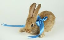 Фотография Скоковой Наташи